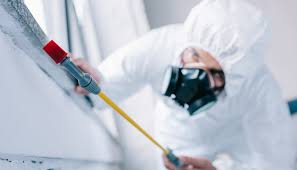 Best Pest Control for Multi-Family Homes  in Pittsboro, IN